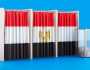 مصر تحدد تاريخ الانتخابات الرئاسية وموعد الترشح والنتائج