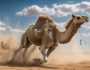 تفسير حلم الجمل يلاحقني في المنام لكبار المفسرين