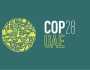 باحثون: «COP28» منصة مهمة لوضع حلول جذرية لقضايا العالم