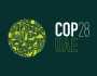 رئاسة «COP28» تؤكد الضرورة الملحَّة لدعم جهود التكيُّف العالمية
