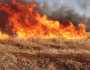 الحرائق الموسمية في سوريا.. متى تنتهي؟ وهل تزيد مستقبلا؟