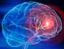 علماء يكتشفون طريقة تشفير الخطر في الدماغ