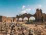 إدراج أم الجمال الأثرية الأردنية في قائمة اليونسكو لمواقع التراث العالمي