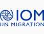 المنظمة الدولية للهجرة.. وكالة تساعد في تنظيم حركات اللجوء والنزوح