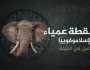 نقطة عمياء- الإسلاموفوبيا الرهاب المصطنع.. ترى ما الفيل الذي يحاول الغرب إخفاءه؟