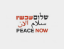 السلام الآن حركة حقوقية أسسها ضباط إسرائيليون