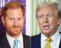 ضغوط متزايدة على ترامب للكشف عن ملف هجرة الأمير هاري.. هل يواجه الترحيل؟