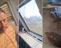نسر يخترق زجاج قطار في كشمير ويصيب قائده بجروح طفيفة