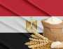 رويترز: مصر تؤمن احتياجاتها من القمح حتى نهاية يونيو 2025