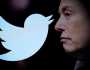 دعوى قضائية ضد إيلون ماسك من مسؤولين سابقين في تويتر