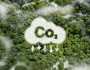 كيف تتم عمليات التقاط الكربون وإزالته؟