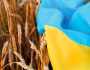 بسبب حظر استيراد الحبوب.. أوكرانيا تعتزم مقاضاة 3 دول أوروبية