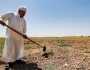 الجفاف يُزيد معاناتهم.. استطلاع دولي يلخص معاناة فلاحي العراق