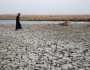 البيئة: الجفاف يتسبب بنزوح 68 ألف أسرة من الأهوار