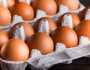 أسعار البيض تُحلق في امريكا.. وصلت لهذا الحد!