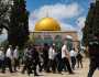 مئات المستوطنين يقتحمون المسجد الأقصى فى عيد الأسابيع العبرى