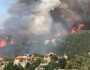 مقترح إسرائيلي بـ'حرق غابات' جنوب لبنان لإنشاء منطقة عازلة