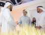 منصور بن زايد: الارتقاء بجودة حياة المجتمع من أولويات قيادة الإمارات