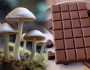 'المشروم المخدر' الممزوج بالشوكولا يثير ضجة في مصر