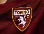 صندوق الاستثمار يعرض 200 مليون يورو لشراء تورينو