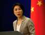 الصين تدعو إلى حل سياسي للأزمة السورية