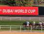 قرعة كأس دبي العالمي لسباق الخيل الأربعاء وتعديل توقيت انطلاق منافساته