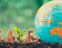 7 طرق تساعد في إنقاذ كوكب الأرض خلال 2025