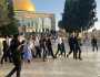 في ثاني أيام رمضان..548 مستوطناً يقتحمون الأقصى في القدس