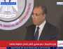 وزير الخارجية: مصر تدعم كل الجهود الدولية للتوصل إلى هدنة في غزة وجنوب لبنان