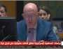 مندوب روسيا بالأمم المتحدة: غزة تتعرض لأكبر إزهاق للأرواح في التاريخ