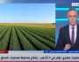 أستاذ اقتصاد زراعي: مصر احتلت المرتبة الأولى عالميا في تصدير الموالح