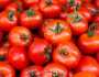 تراجع أسعار الطماطم اليوم السبت 2-11-2024.. هل يستمر الانخفاض في الأسواق؟