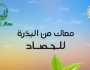 «الزراعة» تطلق حملة «معاك في الغيط» لتوعية المزارعين ومربي الماشية