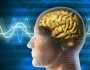 دماغ الرجال يتقلص يوميا في الساعة الثامنة مساء.. ما علاقة الهرمونات؟