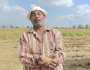 محافظ بورسعيد يشهد موسم حصاد الأرز.. بزياد 14 ألف فدان عن العام الماضي