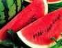 4 حيل تساعدك على شراء بطيخة حمراء حلوة المذاق.. اهتم بالوزن