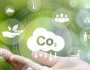 ماذا تعرف عن أول سوق كربون طوعية منظمة ومراقبة أطلقتها مصر؟