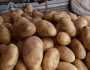أسعار البطاطس اليوم في سوق العبور.. تبدأ من 8 جنيهات