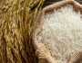أبرزها بدء موسم الحصاد.. أسباب استقرار سعر طن الأرز الشعير اليوم