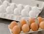 انخفاض كبير في سعر طبق البيض اليوم الثلاثاء 10-10-2023