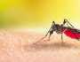 لدغة بعوضة قاتلة تهدد العالم.. فيروس جديد يصيب جميع الأعمار