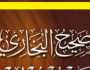 كيف تصدى شيخ الأزهر للتشكيك في السنة النبوية والنيل من الهوية الدينية؟