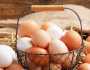 تراجع أسعار البيض البلدي في الأسواق اليوم الخميس 7-12-2023
