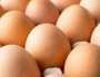 أسعار البيض اليوم السبت 21-9-2024 في بورصة الدواجن.. «الطبق بكام؟»