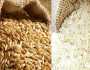 أسعار الأرز اليوم السبت 17-2-2024 في الأسواق