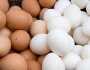 أسعار البيض في المحلات اليوم الخميس 21-12-2023