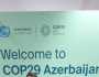 «القومي للإعاقة» يشارك في مؤتمر تغير المناخ «COP29» بأذربيجان
