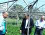رئيس «البحوث الزراعية» يتابع رفع كفاءة الأصول في موقع الصوب بالقليوبية