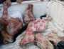 ضبط 5 أطنان لحوم فاسدة خلال شهر في المنوفية