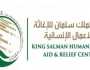 لبحث سبل تسهيل إدخال المساعدات لغزة.. وصول فريق من “إغاثي الملك سلمان” إلى مصر
